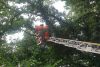 Th Unwetter